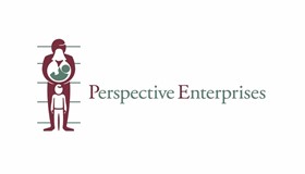 Perspective Enterprises